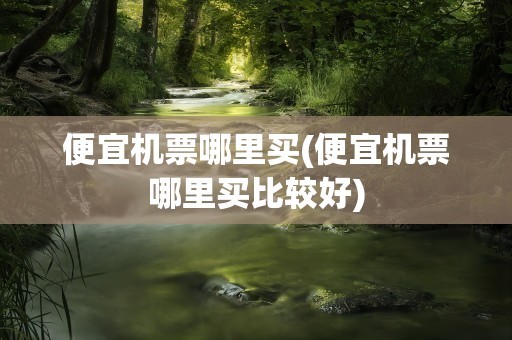 便宜机票哪里买(便宜机票哪里买比较好)