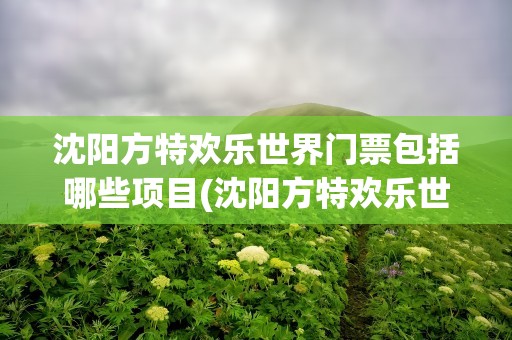 沈阳方特欢乐世界门票包括哪些项目(沈阳方特欢乐世界门票包含什么)