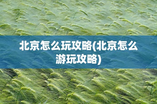 北京怎么玩攻略(北京怎么游玩攻略)