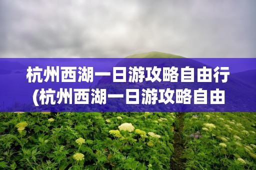 杭州西湖一日游攻略自由行(杭州西湖一日游攻略自由行路线)