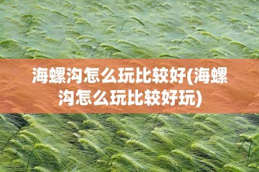 海螺沟怎么玩比较好(海螺沟怎么玩比较好玩)