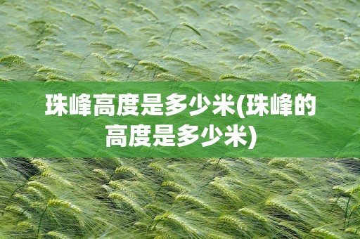 珠峰高度是多少米(珠峰的高度是多少米)