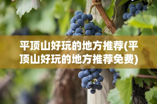 平顶山好玩的地方推荐(平顶山好玩的地方推荐免费)