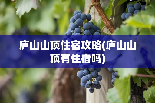 庐山山顶住宿攻略(庐山山顶有住宿吗)
