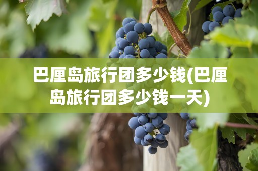 巴厘岛旅行团多少钱(巴厘岛旅行团多少钱一天)