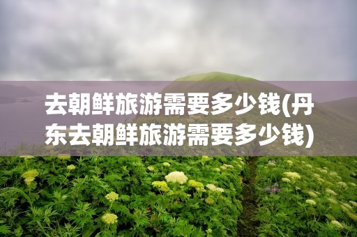 去朝鲜旅游需要多少钱(丹东去朝鲜旅游需要多少钱)
