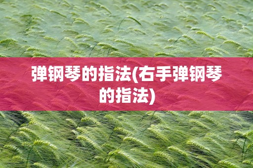 弹钢琴的指法(右手弹钢琴的指法)