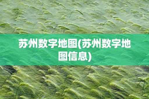 苏州数字地图(苏州数字地图信息)