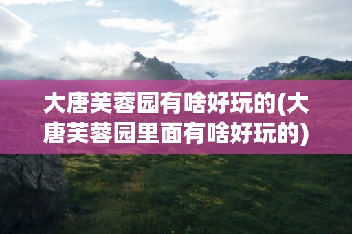 大唐芙蓉园有啥好玩的(大唐芙蓉园里面有啥好玩的)