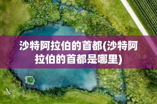 沙特阿拉伯的首都(沙特阿拉伯的首都是哪里)