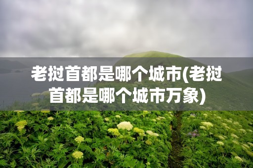 老挝首都是哪个城市(老挝首都是哪个城市万象)