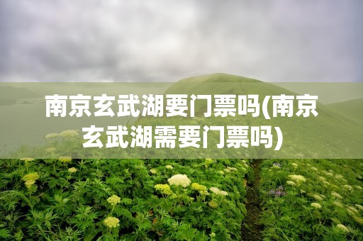 南京玄武湖要门票吗(南京玄武湖需要门票吗)