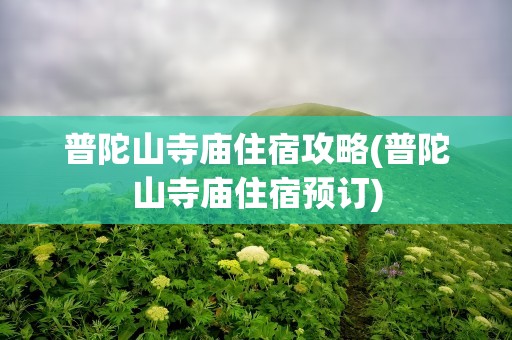 普陀山寺庙住宿攻略(普陀山寺庙住宿预订)
