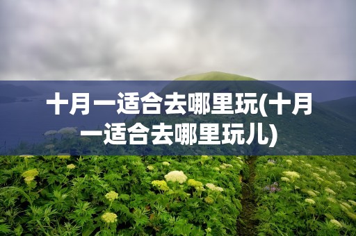 十月一适合去哪里玩(十月一适合去哪里玩儿)