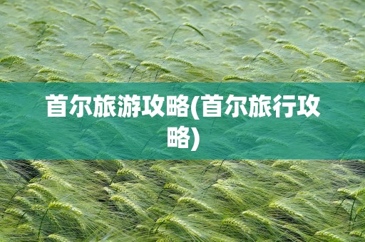 首尔旅游攻略(首尔旅行攻略)