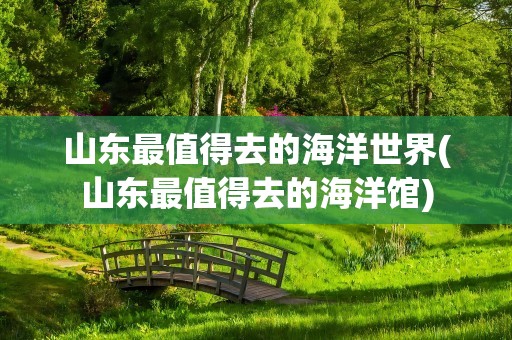 山东最值得去的海洋世界(山东最值得去的海洋馆)