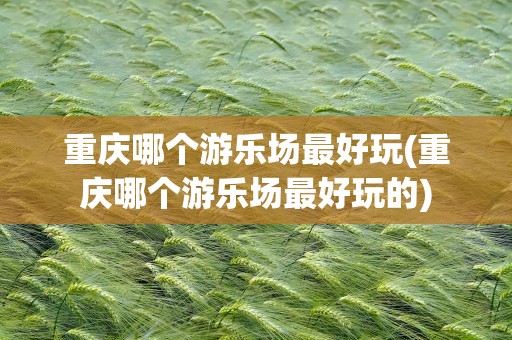 重庆哪个游乐场最好玩(重庆哪个游乐场最好玩的)