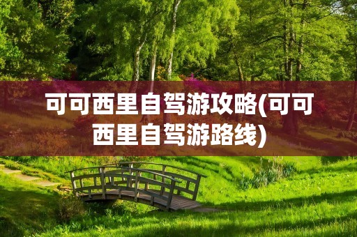 可可西里自驾游攻略(可可西里自驾游路线)