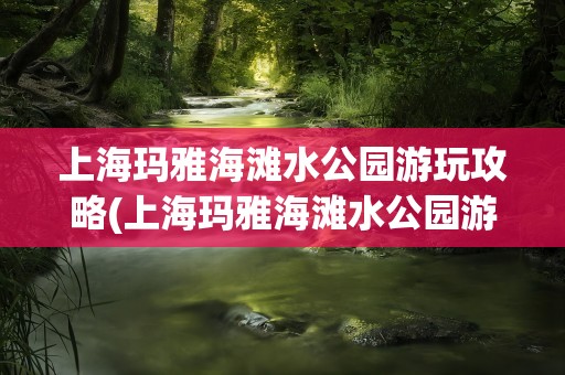 上海玛雅海滩水公园游玩攻略(上海玛雅海滩水公园游玩项目)