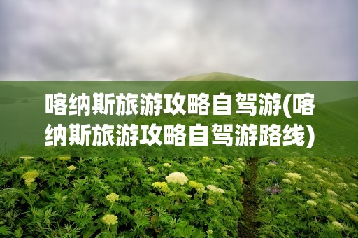 喀纳斯旅游攻略自驾游(喀纳斯旅游攻略自驾游路线)