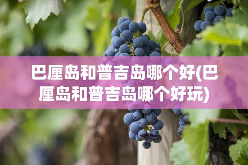 巴厘岛和普吉岛哪个好(巴厘岛和普吉岛哪个好玩)
