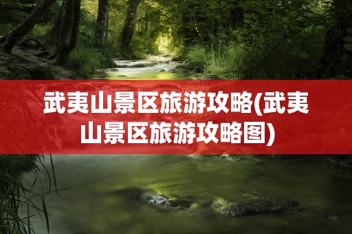 武夷山景区旅游攻略(武夷山景区旅游攻略图)