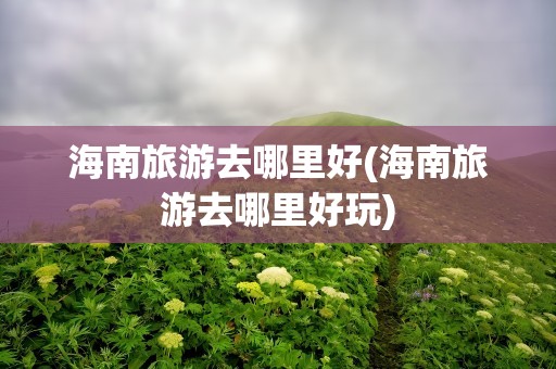 海南旅游去哪里好(海南旅游去哪里好玩)