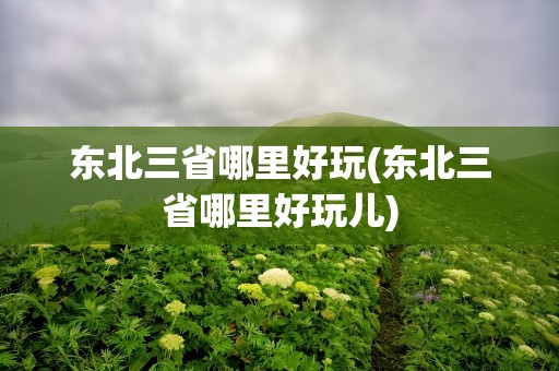 东北三省哪里好玩(东北三省哪里好玩儿)