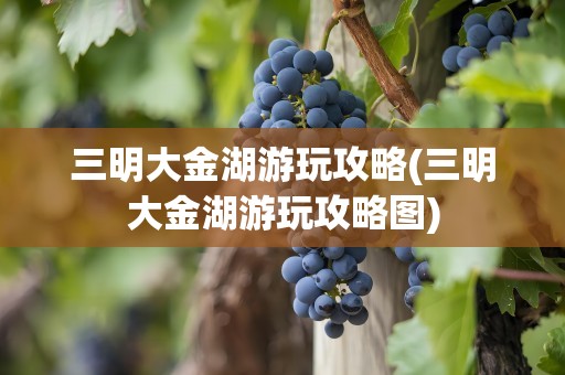 三明大金湖游玩攻略(三明大金湖游玩攻略图)