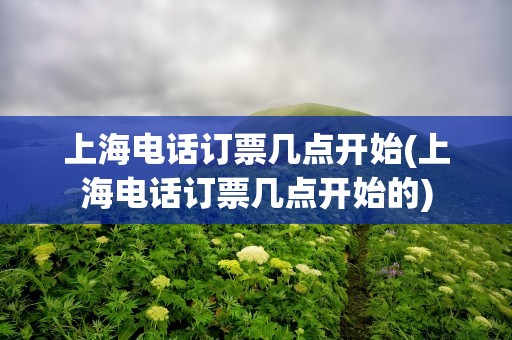上海电话订票几点开始(上海电话订票几点开始的)