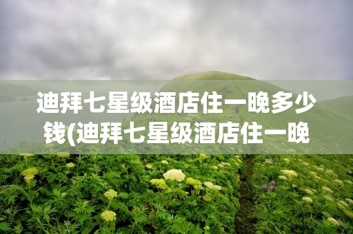 迪拜七星级酒店住一晚多少钱(迪拜七星级酒店住一晚多少钱一天)