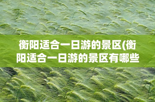 衡阳适合一日游的景区(衡阳适合一日游的景区有哪些)