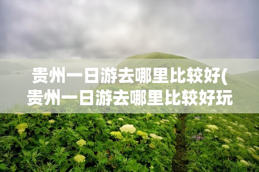 贵州一日游去哪里比较好(贵州一日游去哪里比较好玩)