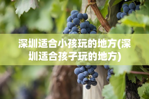 深圳适合小孩玩的地方(深圳适合孩子玩的地方)