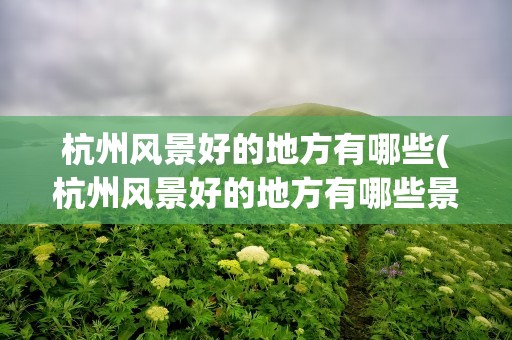 杭州风景好的地方有哪些(杭州风景好的地方有哪些景点)