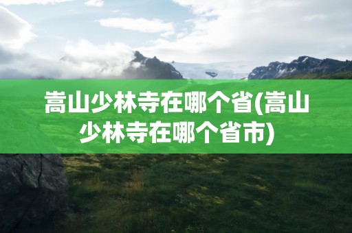 嵩山少林寺在哪个省(嵩山少林寺在哪个省市)