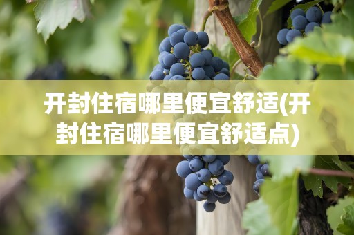 开封住宿哪里便宜舒适(开封住宿哪里便宜舒适点)