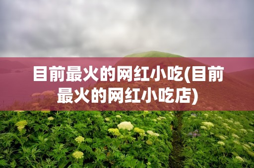 目前最火的网红小吃(目前最火的网红小吃店)