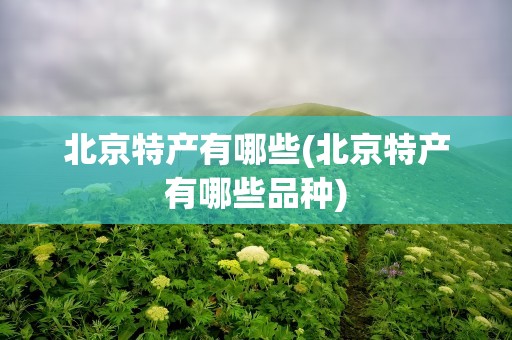 北京特产有哪些(北京特产有哪些品种)