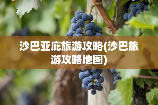 沙巴亚庇旅游攻略(沙巴旅游攻略地图)