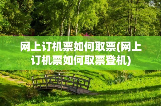 网上订机票如何取票(网上订机票如何取票登机)