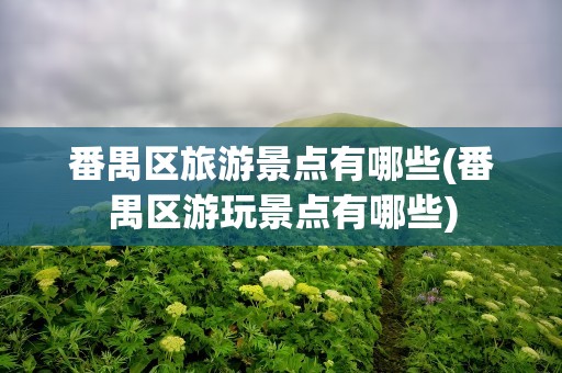 番禺区旅游景点有哪些(番禺区游玩景点有哪些)