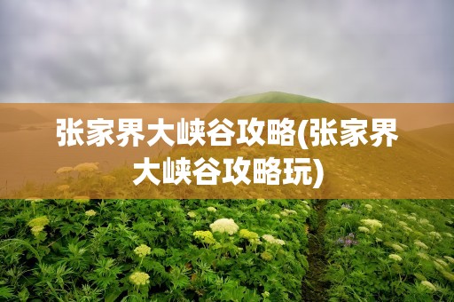 张家界大峡谷攻略(张家界大峡谷攻略玩)