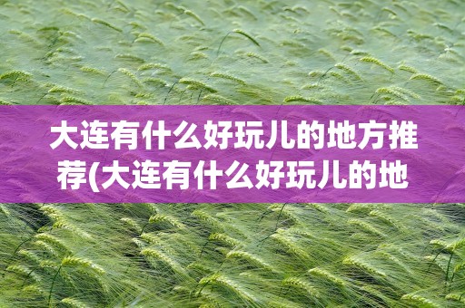 大连有什么好玩儿的地方推荐(大连有什么好玩儿的地方推荐一下)