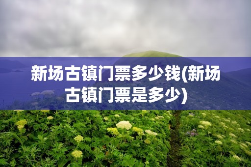 新场古镇门票多少钱(新场古镇门票是多少)