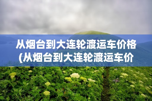 从烟台到大连轮渡运车价格(从烟台到大连轮渡运车价格表)