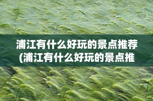浦江有什么好玩的景点推荐(浦江有什么好玩的景点推荐免费)