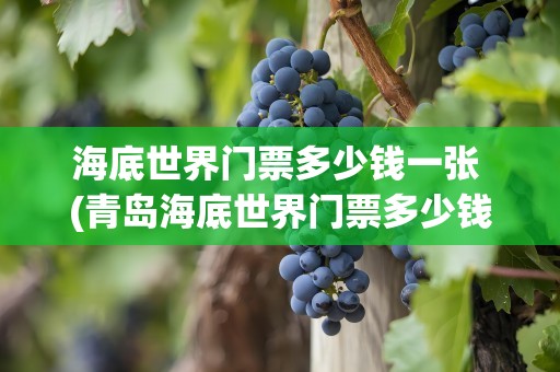 海底世界门票多少钱一张 (青岛海底世界门票多少钱一张)