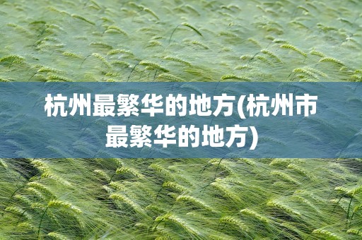 杭州最繁华的地方(杭州市最繁华的地方)