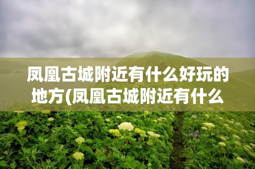 凤凰古城附近有什么好玩的地方(凤凰古城附近有什么好玩的地方推荐)